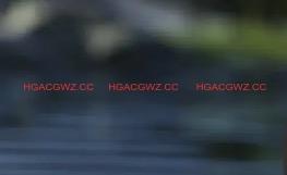 【欧美SLG/汉化/动态】回家7.16.1汉化版【PC+安卓/3.23G/更新】